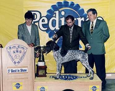5Best In Show!, KCABC 2000