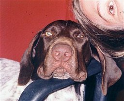 No  a cara da mame?