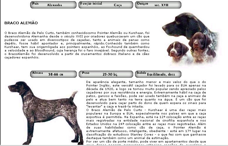 petsite.jpg (129440 bytes)