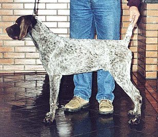 twister-8meses.jpg (36495 bytes)
