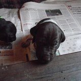 Fotos em 15/04